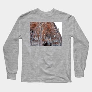 Carvings II Long Sleeve T-Shirt